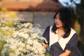 Thiếu nữ duyên dáng bên cúc họa mi giữa lòng phố núi