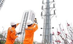 Người dân tiêu thụ điện dịp Tết Giáp Thìn 2024 thế nào?