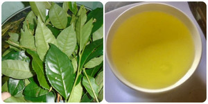 Nước chè xanh tốt cho sức khoẻ nhưng lại 'đại kỵ' với những nhóm người này