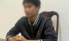 Bắt thanh niên thuê người phá hàng chục ngàn mét vuông rừng tự nhiên