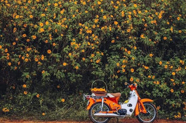 Vi vu suối Cái Ba Vì Hà Nội