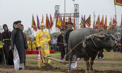 Lão nông đóng giả vua, mặc long bào đi cày trong lễ hội Tịch điền ở Hà Nam