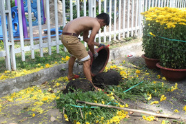 Người kinh doanh tồi mới phải đập bỏ hoa trên phố