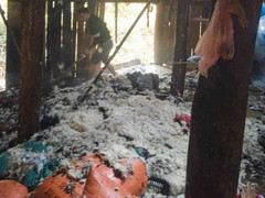 Không xin được tiền mua xe, nghịch tử rút dây bình gas đốt nhà bố mẹ