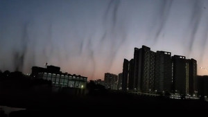 Những 'cơn lốc muỗi' hoành hành tại Ấn Độ