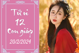 Tử vi vui 12 con giáp hôm nay ngày 20/2/2024: Thân tận dụng, Dậu dễ tính