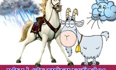 IQ cao mới đoán được đây là câu thành ngữ nào