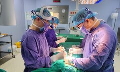 Nhiều nam giới đột ngột đau bìu dữ dội, đến viện tinh hoàn đã tím đen