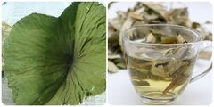 Uống nước lá sen có tác dụng gì với sức khoẻ?