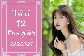 Tử vi vui 12 con giáp hôm nay ngày 22/2/2024: Mão tất bật, Dậu cứng nhắc