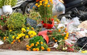 Chủ nhiệm Ủy ban Kinh tế: Cần kiến nghị xử lý vấn đề đập bỏ hoa, cây cảnh Tết