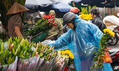 Người Hà Nội đội mưa, dậy sớm đi sắm đồ cúng rằm tháng Giêng