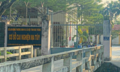 Đưa hơn 100 học viên cai nghiện ở Sóc Trăng bỏ trốn trở lại cơ sở