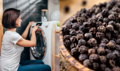 Thả một nắm tiêu đen vào vào máy giặt có công dụng gì?