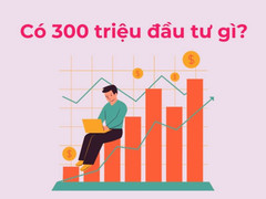 Làm gì với 300 triệu đồng nhàn rỗi?