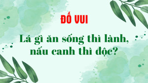 Lá gì ăn sống thì lành, nấu canh thì độc?