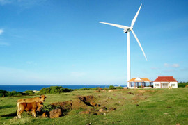 Bình Thuận sẽ làm gì để thành trung tâm năng lượng sạch?