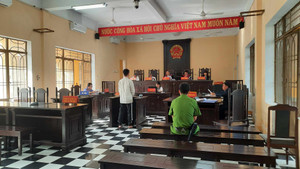 Thuê xe ô tô rồi làm giả giấy tờ mang đi cầm cố, người đàn ông lĩnh 10 năm tù