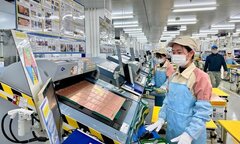 Mỗi tháng, hơn 20,5 nghìn doanh nghiệp mới thành lập
