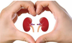 5 thói quen tốt vào buổi sáng giúp thận luôn khỏe mạnh