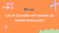 Người IQ cao trả lời trong 3 giây: Cái gì nhiều mắt nhưng không nhìn được?