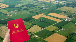 Vì sao nhiều người lùng mua nhà đất không sổ đỏ?