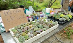 Đổi rác lấy quà trong ‘Phiên chợ hạnh phúc’