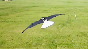 Trung Quốc công bố máy bay không người lái giống chim