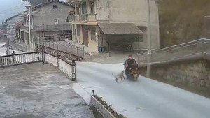 Vướng dây xích chó, người phụ nữ đi xe máy ngã nhào