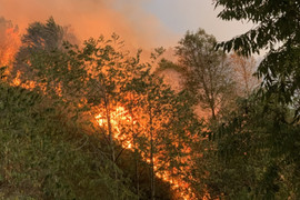 Cháy rừng ở Trạm Tấu, Yên Bái, gần 110ha bị thiêu rụi