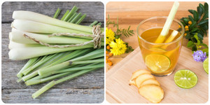 Uống nước sả mỗi ngày có tốt cho sức khoẻ?