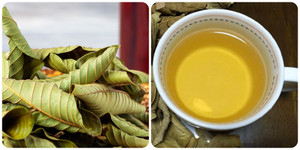 Lá một loại quả pha nước là 'thuốc' bổ tim, kiểm soát đường huyết hiệu quả