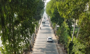 Dự báo thời tiết 10 ngày từ đêm 11/3 đến 21/3 cho Hà Nội và cả nước