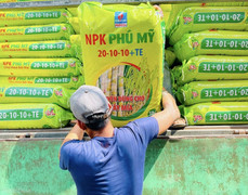 NPK Phú Mỹ 20-10-10+TE: Hứa hẹn mang về thêm những vụ mía ngọt