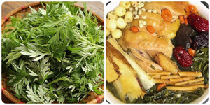 Kết hợp rau ngải cứu với thứ này mang hiệu quả bất ngờ cho sức khỏe