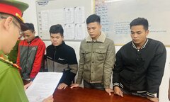 Bắt 4 kẻ cưa trộm 30 cây keo tràm trong rừng phòng hộ ở Thừa Thiên - Huế