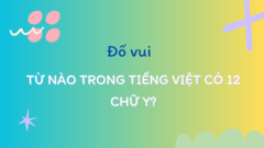 Từ nào trong tiếng việt có 12 chữ Y?