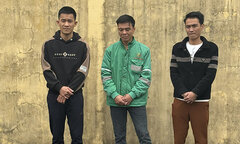 Trộm tài sản của công ty, 3 nhân viên hợp đồng bị bắt