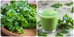 Rau mùi thơm ngon nhưng lại 'đại kỵ' với những nhóm người này