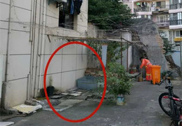 Bị lao công bán mất tấm ván cũ, người phụ nữ kiện đòi 584 triệu đồng