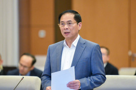 Chất vấn Bộ trưởng Ngoại giao về giải pháp phòng, chống tham nhũng, tiêu cực