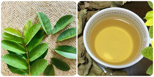 Nước lá ổi tốt cho sức khoẻ nhưng lại 'đại kỵ' với người mắc bệnh này