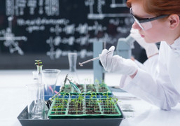 Các vị trí việc làm ngành Môi trường hot nhất hiện nay