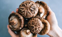 Cô gái phẫn nộ chia tay bạn trai sau khi được tặng nấm hương làm quà sinh nhật