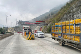 Tạm dừng thu phí tuyến đường BOT nối cao tốc Nội Bài - Lào Cai đến Sa Pa