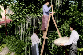 Những cú lừa 'kinh thiên động địa' trong lịch sử ngày Cá tháng Tư