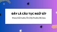 Người giỏi tiếng Việt chỉ cần 2 giây để đọc ra câu tục ngữ này