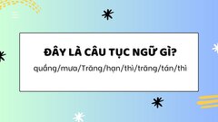 Thử tài tiếng Việt: Đoán câu tục ngữ trong 3 giây