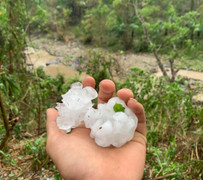 Mưa đá to bằng quả mận ập xuống huyện miền núi Nghệ An