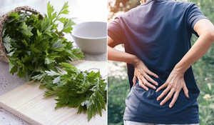 Cách chế biến rau ngải cứu giúp trị bệnh xương khớp, khắc phục đau đầu